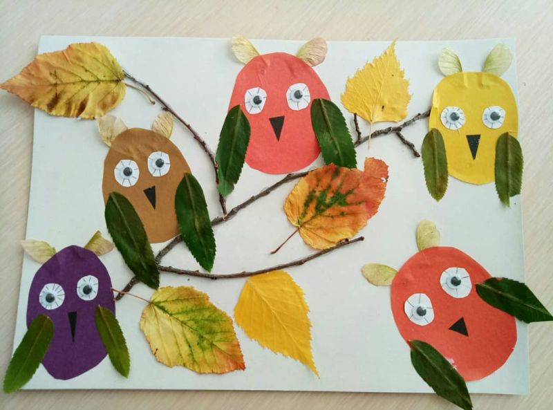 Картина из осенних листьев: осенние композиции для детей