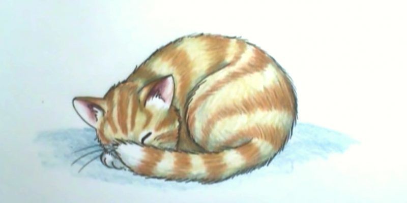 Схемы рисунков Коты