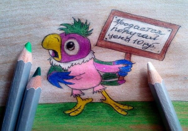 Как нарисовать попугая?