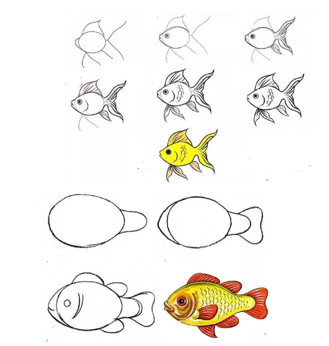 Нарисовать рыбку картинки. Рисование рыбки. Пошаговое рисование для детей. Рисование для детей рыбы. Этапы рисования рыбки для детей.