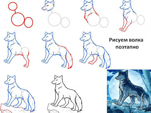 Как нарисовать голову волка карандашом поэтапно?