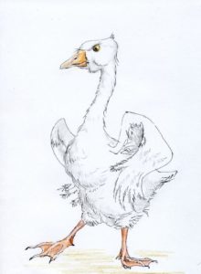 Фото нарисованного гуся