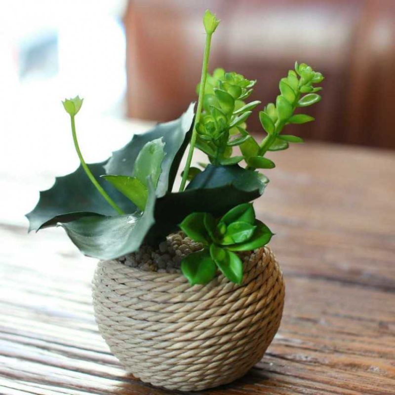 Как сделать вазу и цветы из природных материалов своими руками