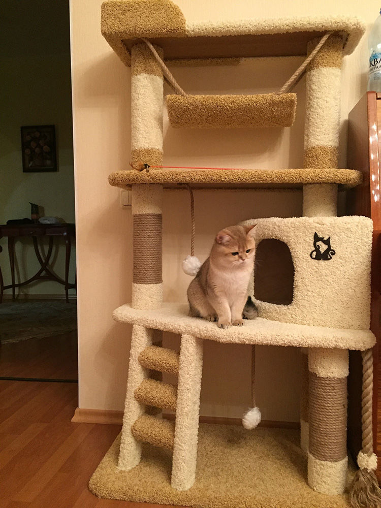 Схема домика для кошки