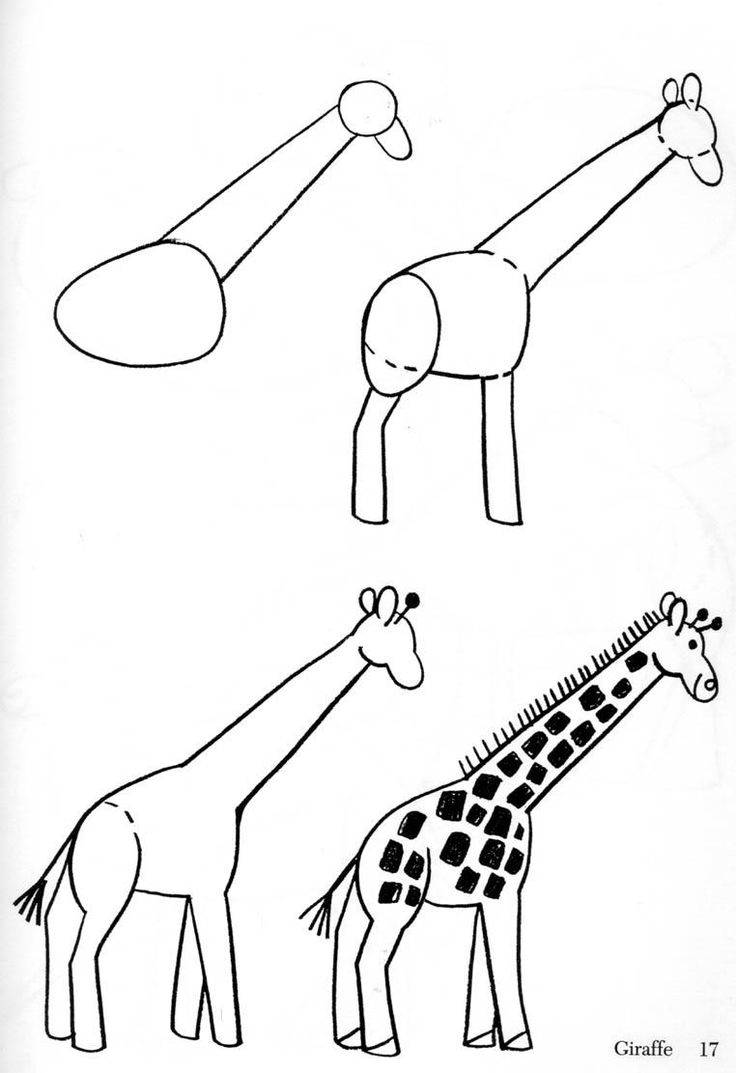 Как нарисовать жирафа поэтапно — 1 способ