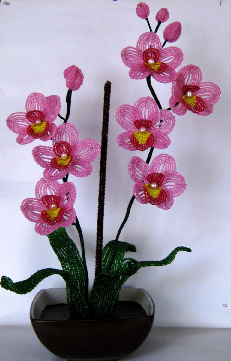 Орхидея Из Бисера Схемы Плетения Фото