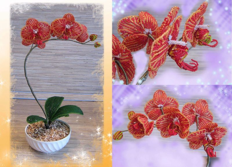 Орхидеи из бисера ( фото) - легкие схемы и пошаговый мастер-класс для начинающих