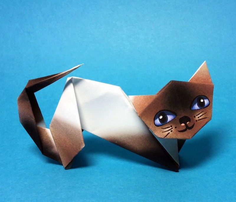 Оригами кошка (115 фото) - поэтапные инструкции для начинающих по созданию  бумажных кошек