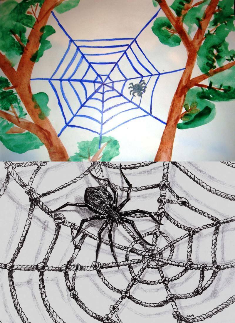 варианты рисования паутины для детей и взрослых