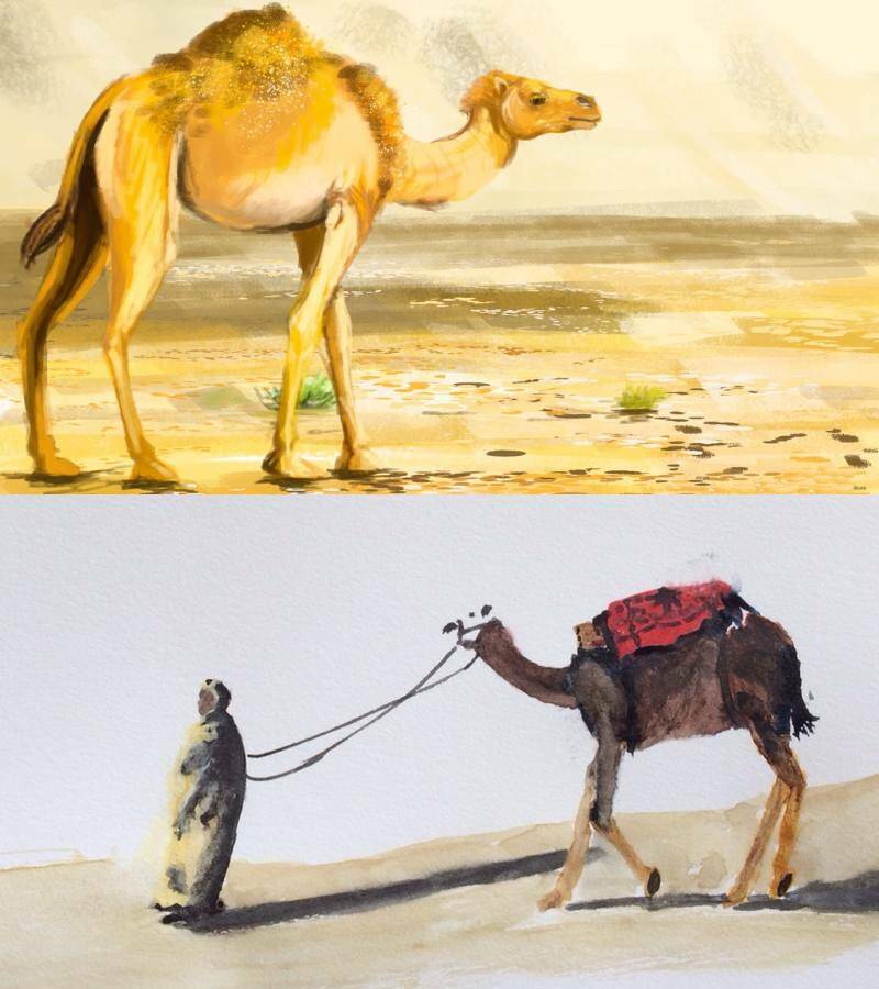 верблюд с человеком и в пустыни рисунки красками