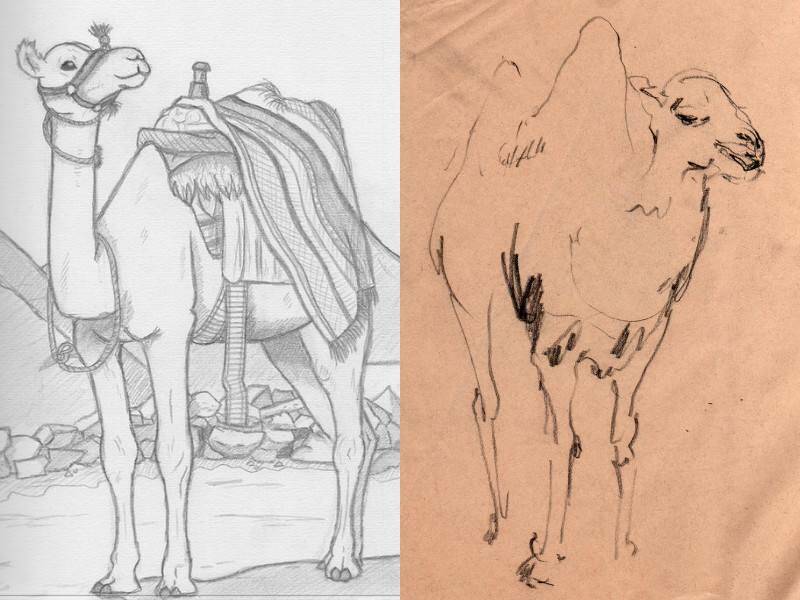 верблюд на эскизах простым карандашом