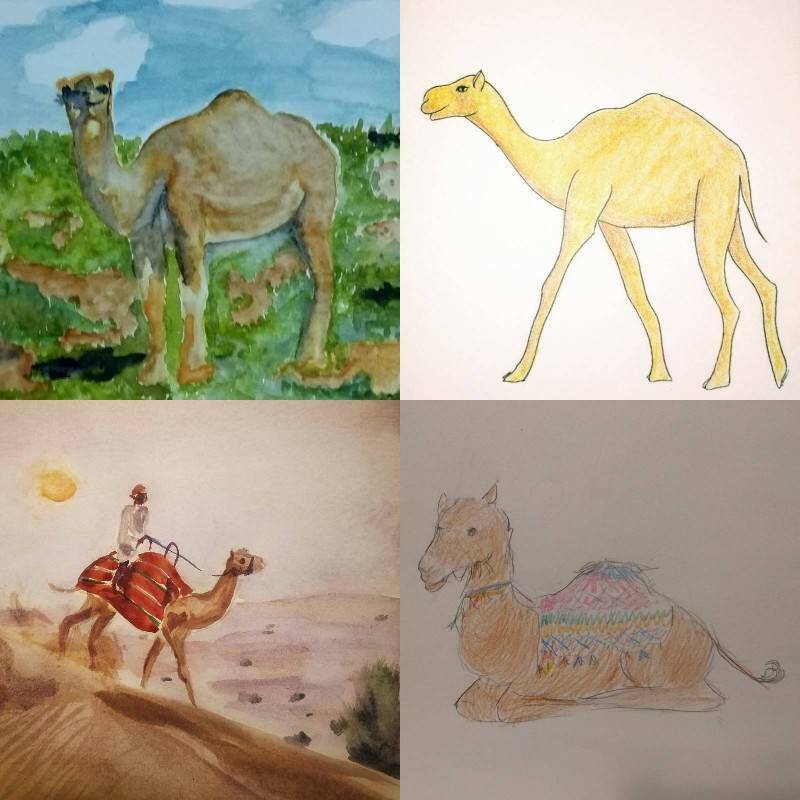 верблюд картинки в вариантах для срисовки