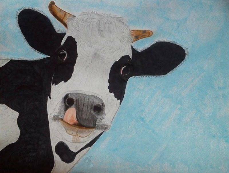рисунок коровы своими руками