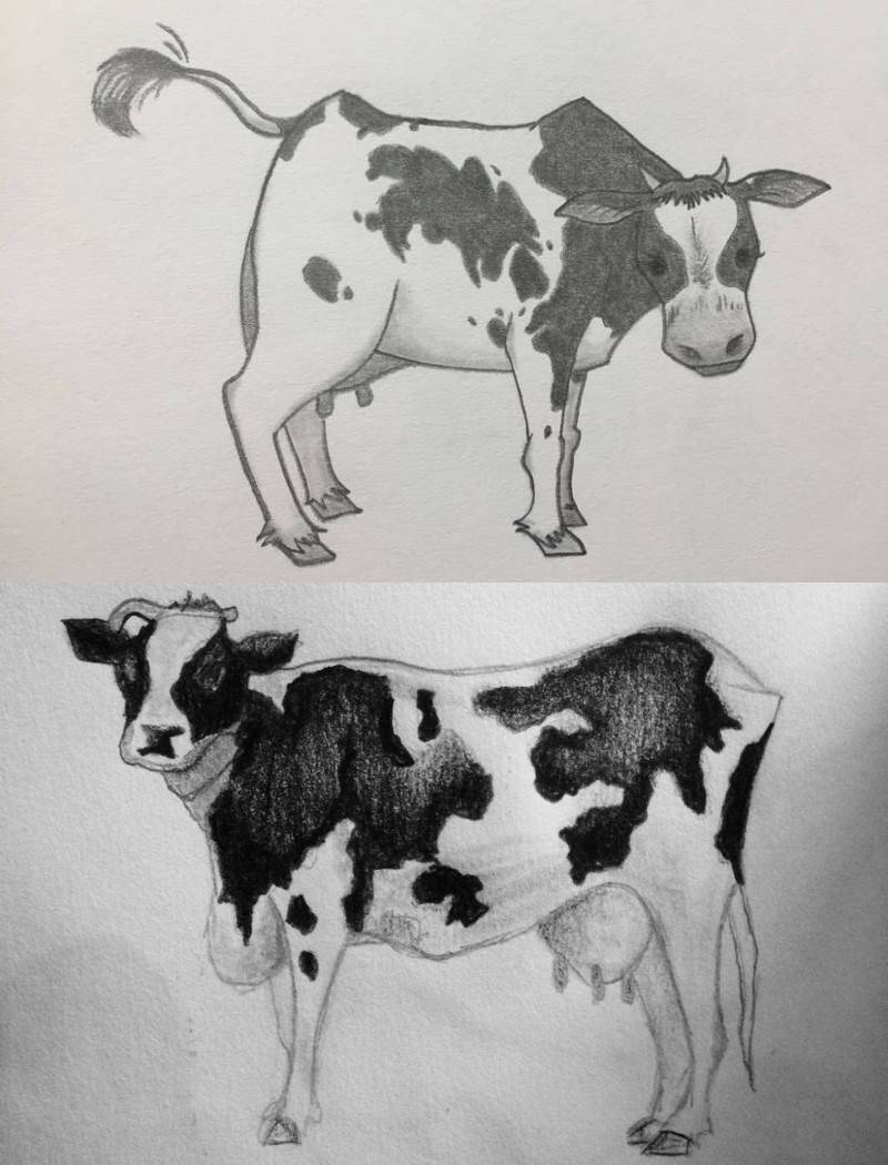 рисунки коровы простым карандашом
