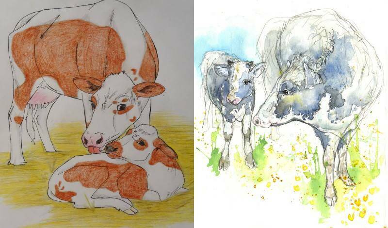 корова мама и теленок красками и цветными карандашами