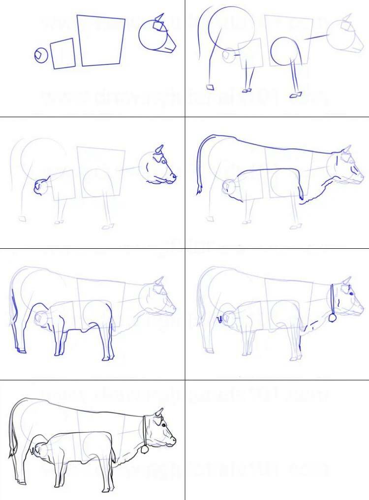 как нарисовать корову с теленком пошагово