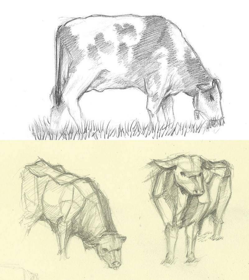 корова кушает траву на рисунках карандашом