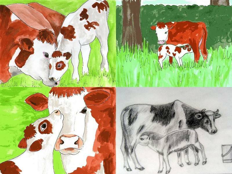 мама корова и малы теленок нарисованные в разных положениях