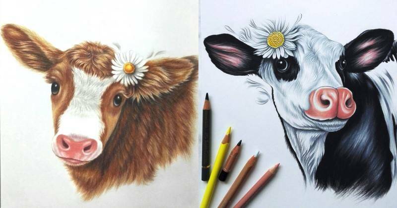 нарисованная голова коровы цветными карандашами