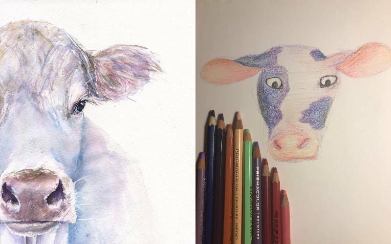 голова коровы рисунок красками и цветными карандашами