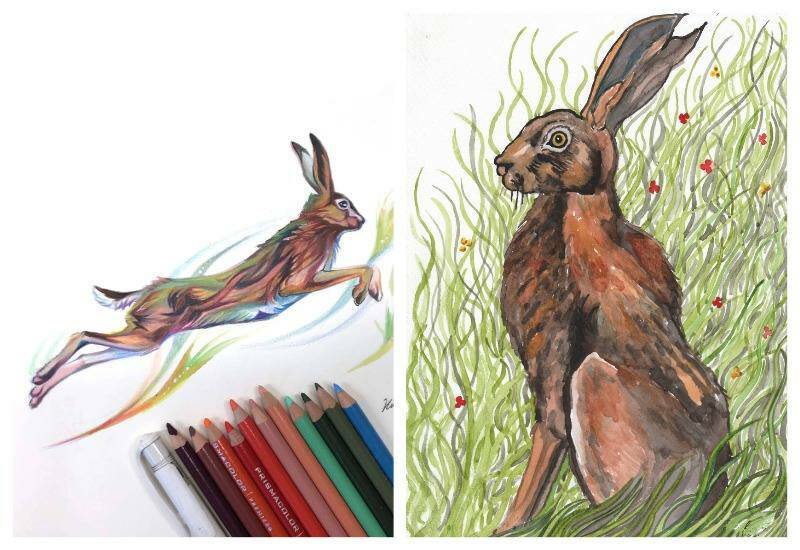 нарисованный заяц русак в движении и сидящий в траве