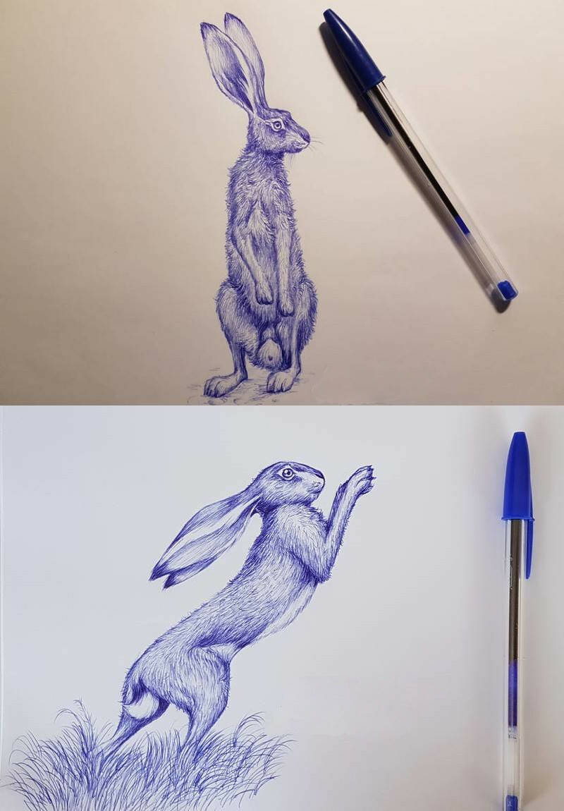 рисунки зайца шариковой ручкой