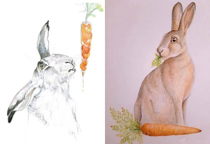 нарисованный заяц с морковкой